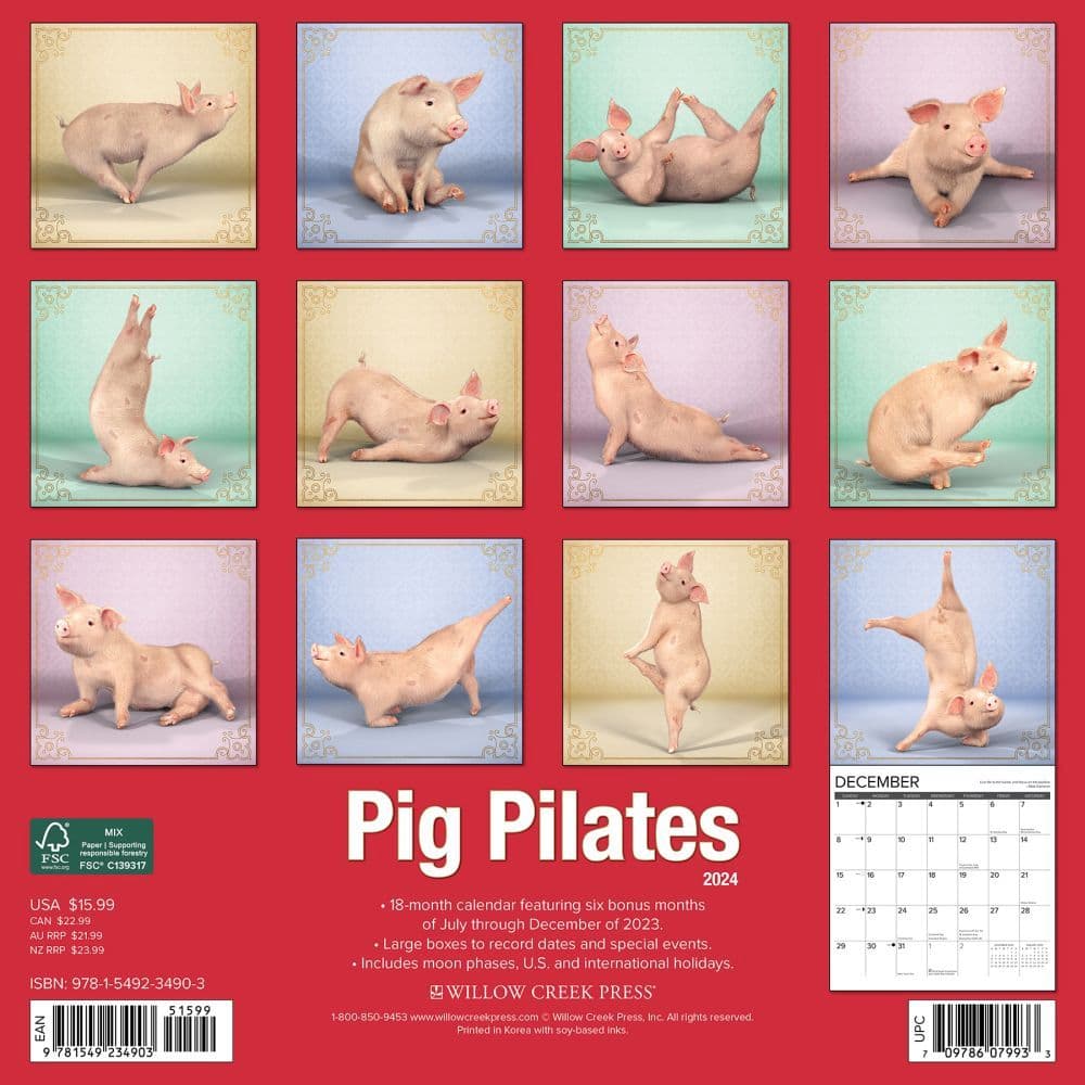 Pig Pilates 2024 Wall Calendar Back of Calendar width=&quot;1000&quot; height=&quot;1000&quot;
