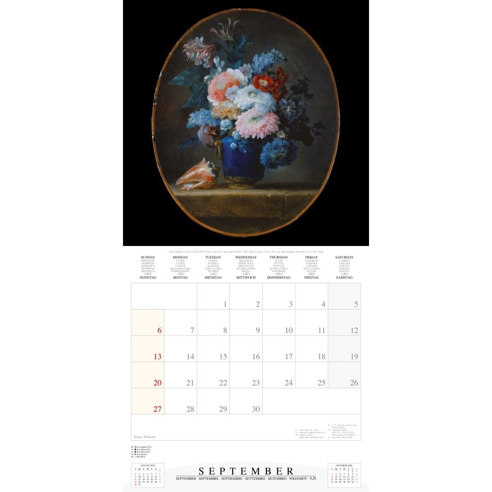 Fourth Alternate Image