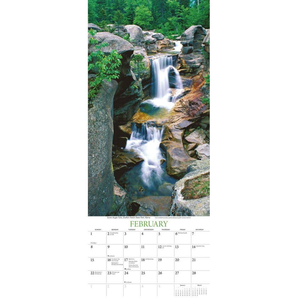 Second Alternate Image