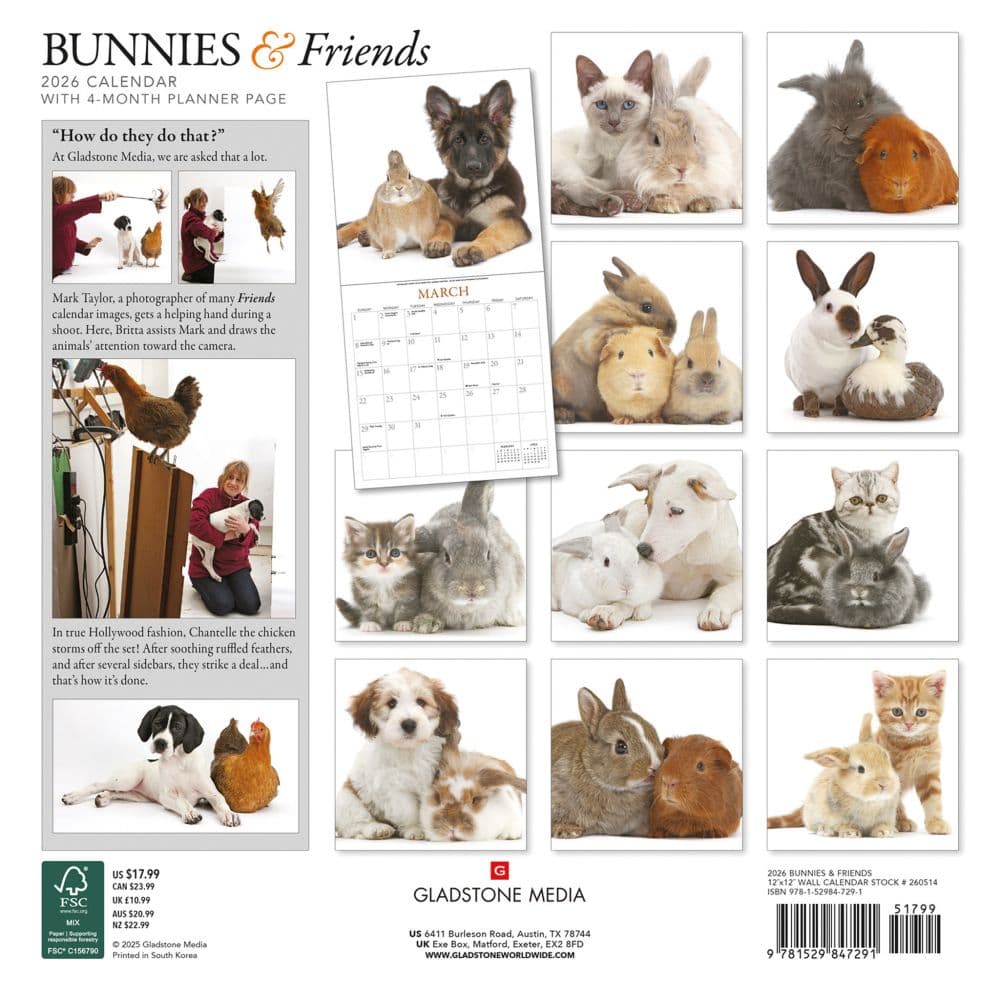 First Alternate Image