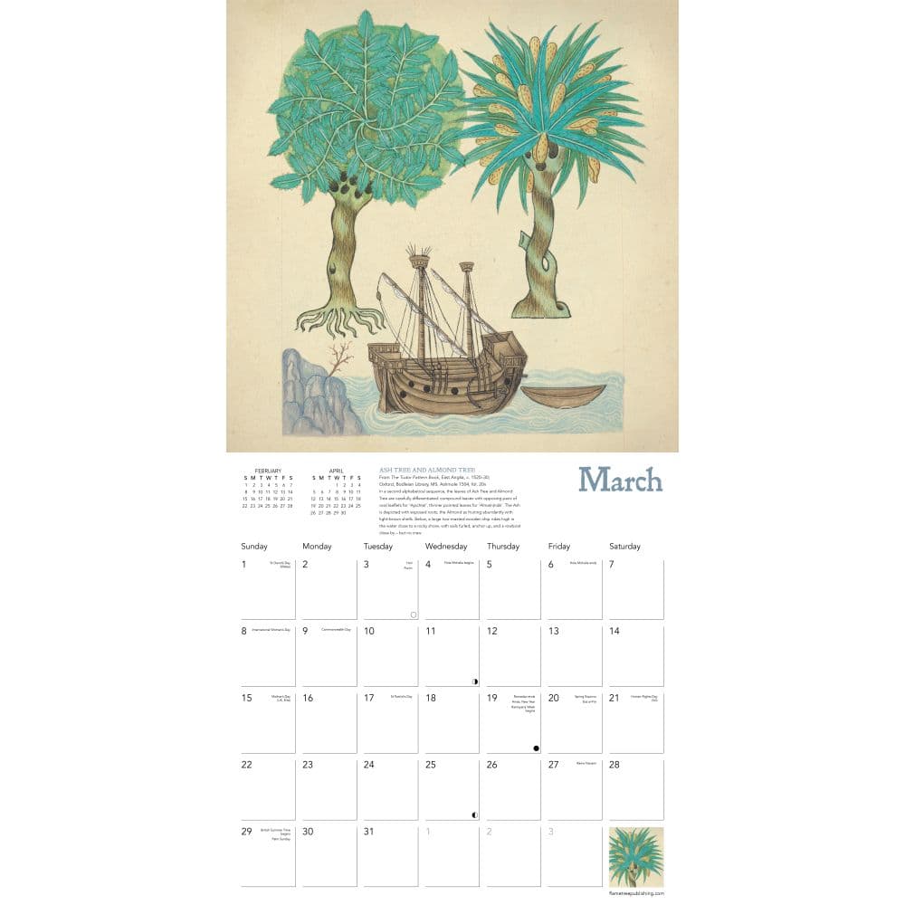 Second Alternate Image