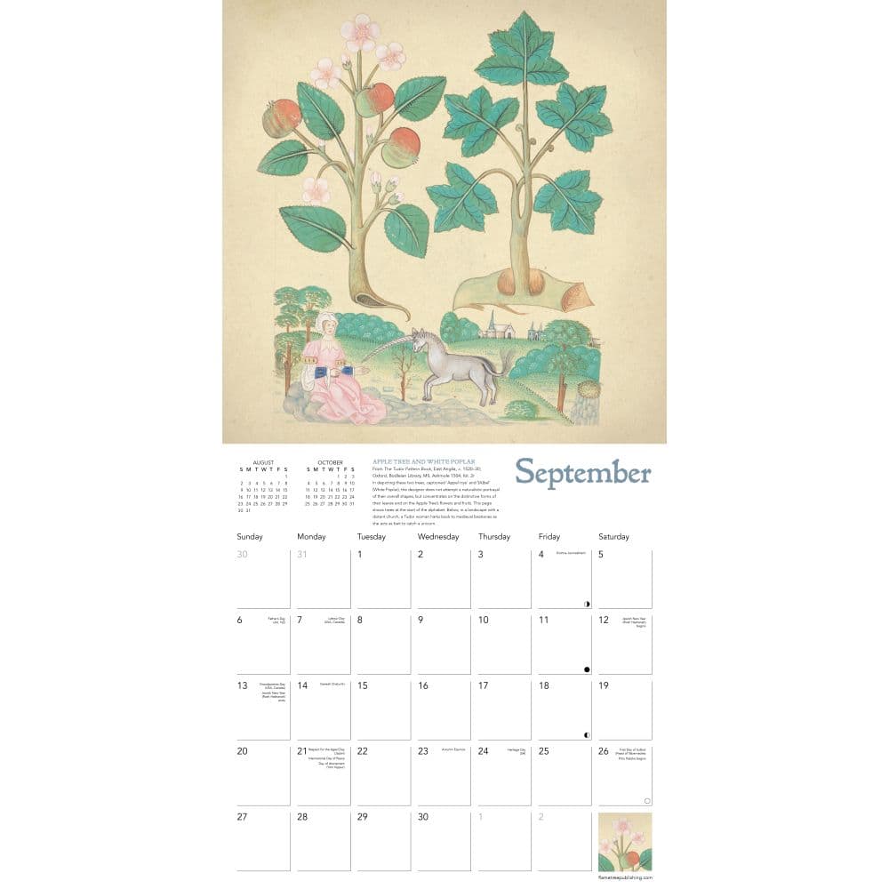 Third Alternate Image