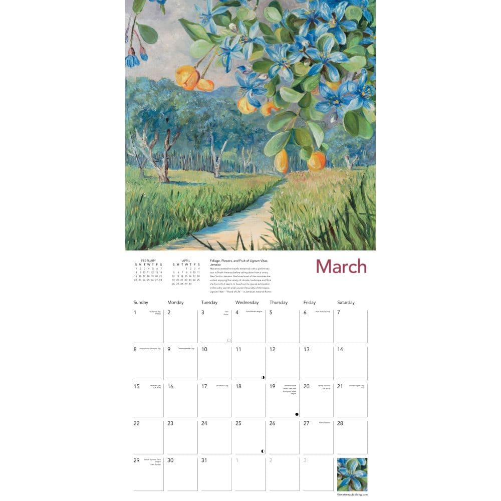 Second Alternate Image