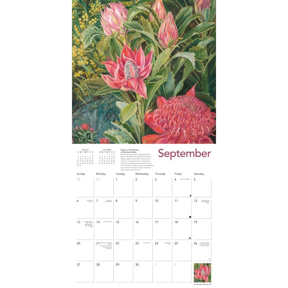 Third Alternate Image