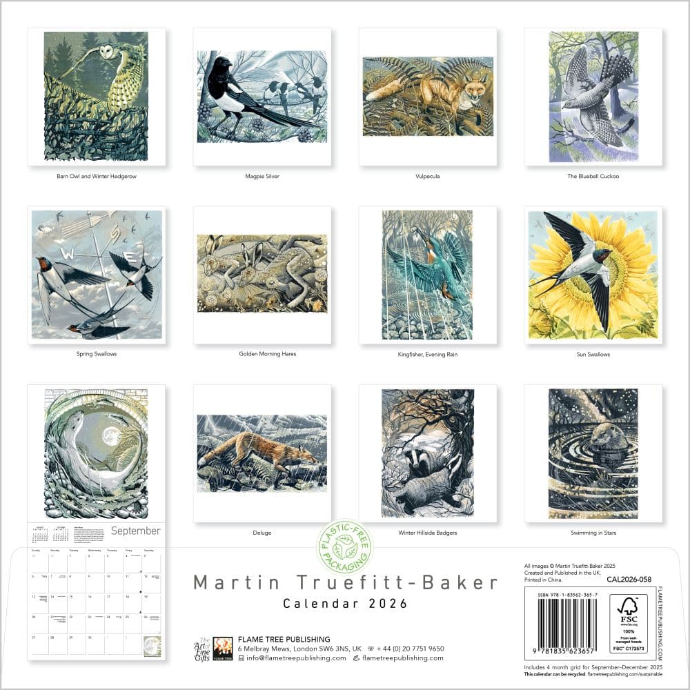 First Alternate Image