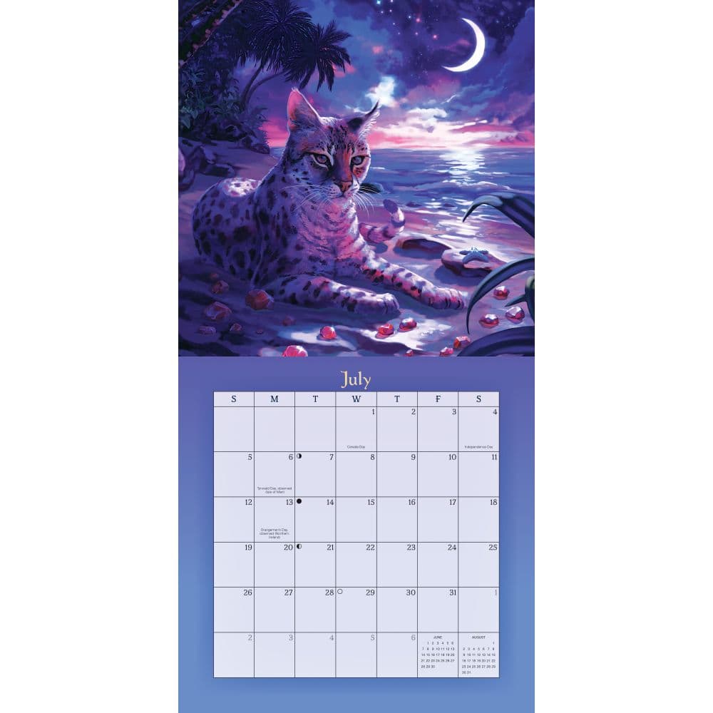 Second Alternate Image