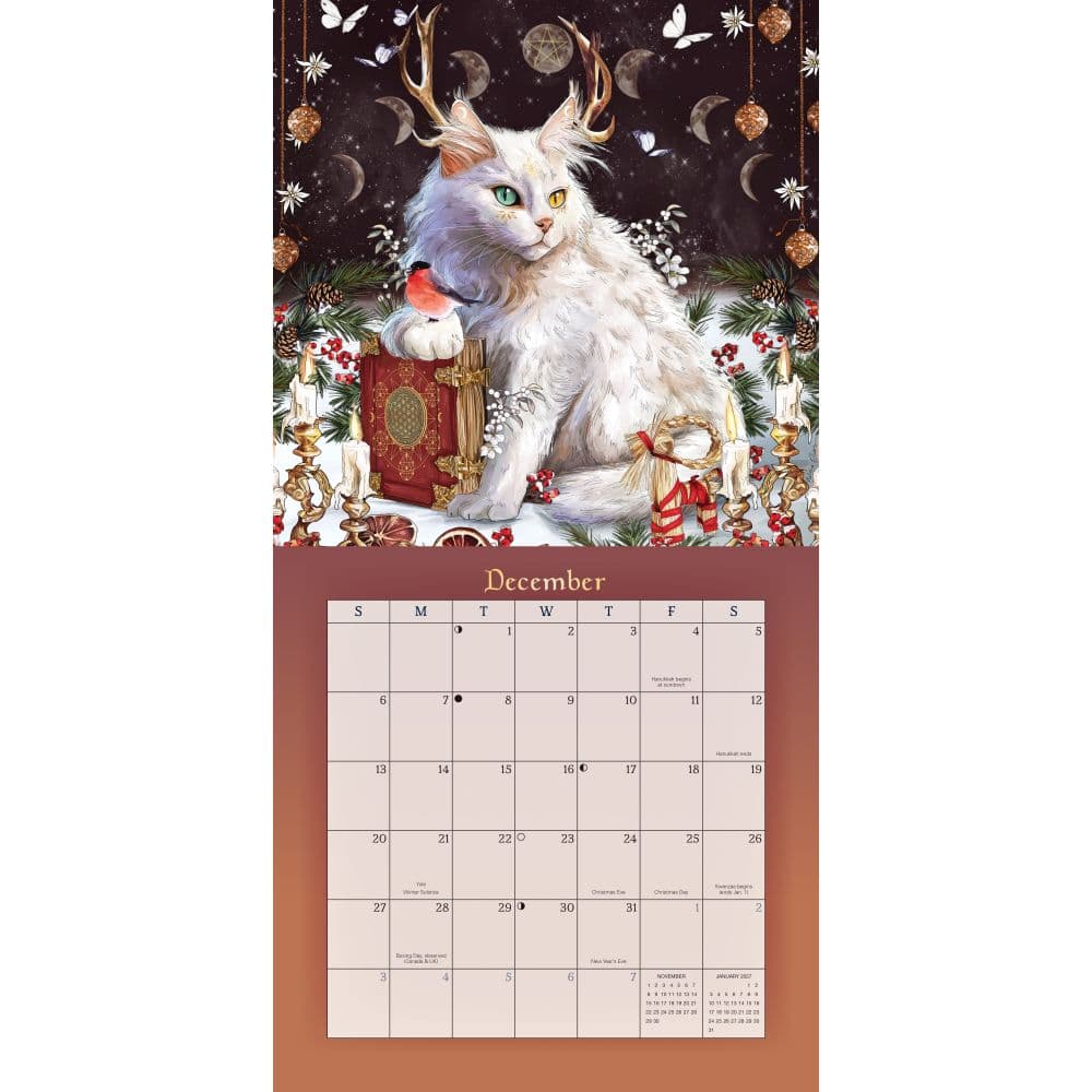 Fourth Alternate Image