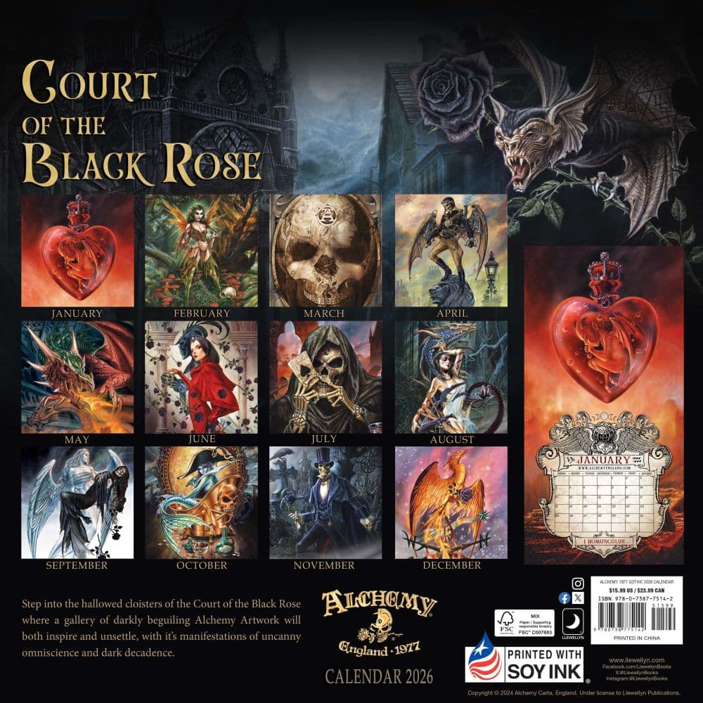 First Alternate Image