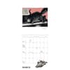 image B Kliban Cat Special Edition 2026 Wall Calendar Third Alternate Image