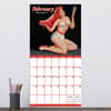 image Pin Ups 2026 Wall Calendar Third Alternate Image