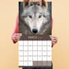 image Wolves 2026 Wall Calendar Fourth Alternate Image