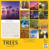 image Trees 2026 Wall Calendar First Alternate Image