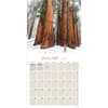image Trees 2026 Wall Calendar Second Alternate Image