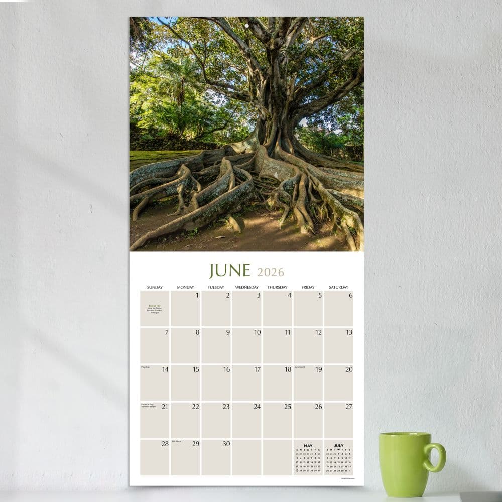 Trees 2026 Wall Calendar Third Alternate Image