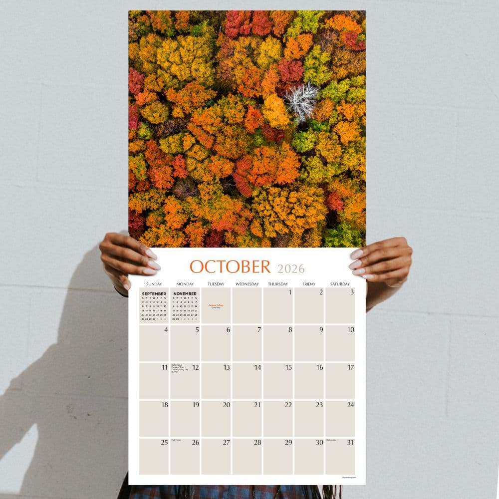 Trees 2026 Wall Calendar Fourth Alternate Image