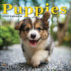 image Puppies 2026 Wall Calendar Main Product Image