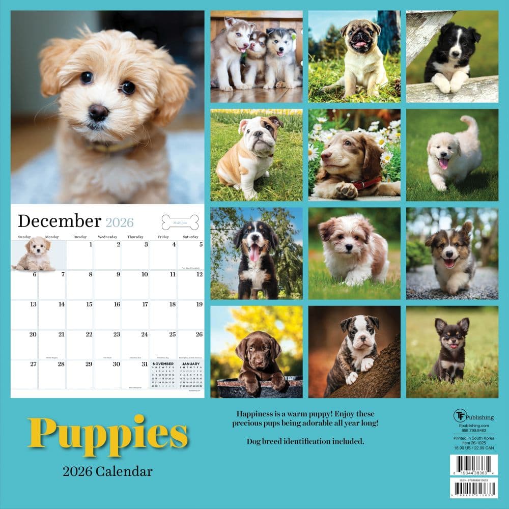 Puppies 2026 Wall Calendar First Alternate Image
