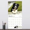 image Puppies 2026 Wall Calendar Third Alternate Image