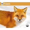 image Foxes WWF 2026 Wall Calendar Main Product Image