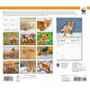 image Foxes WWF 2026 Wall Calendar First Alternate Image