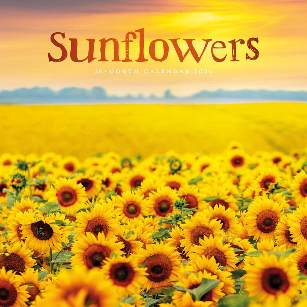 Sunflowers 2026 Wall Calendar Main Product Image