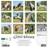 image Gypsy Vanner Horses 2026 Wall Calendar First Alternate Image