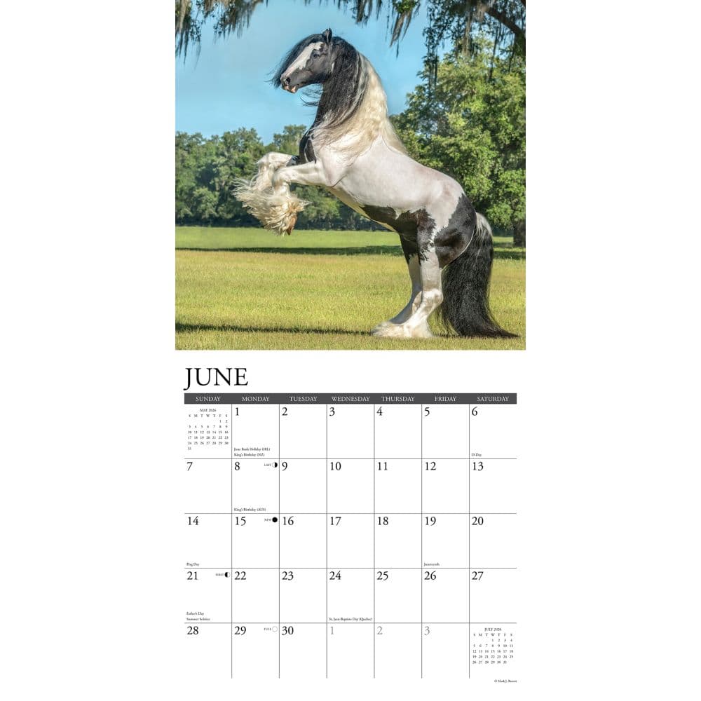 Gypsy Vanner Horses 2026 Wall Calendar Second Alternate Image