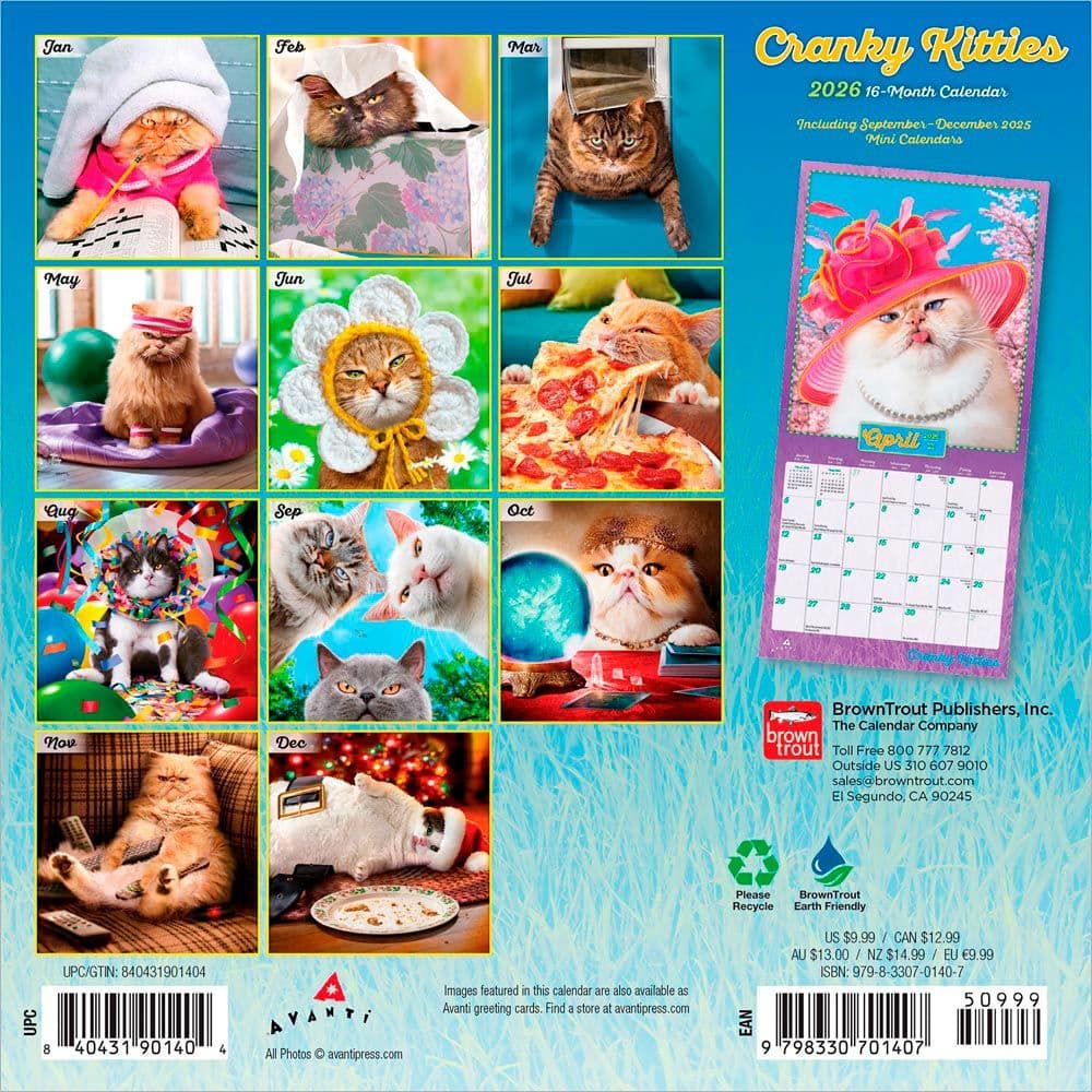 First Alternate Image