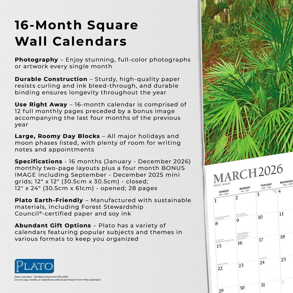 Fifth Alternate Image