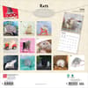 image Rats 2026 Wall Calendar First Alternate Image