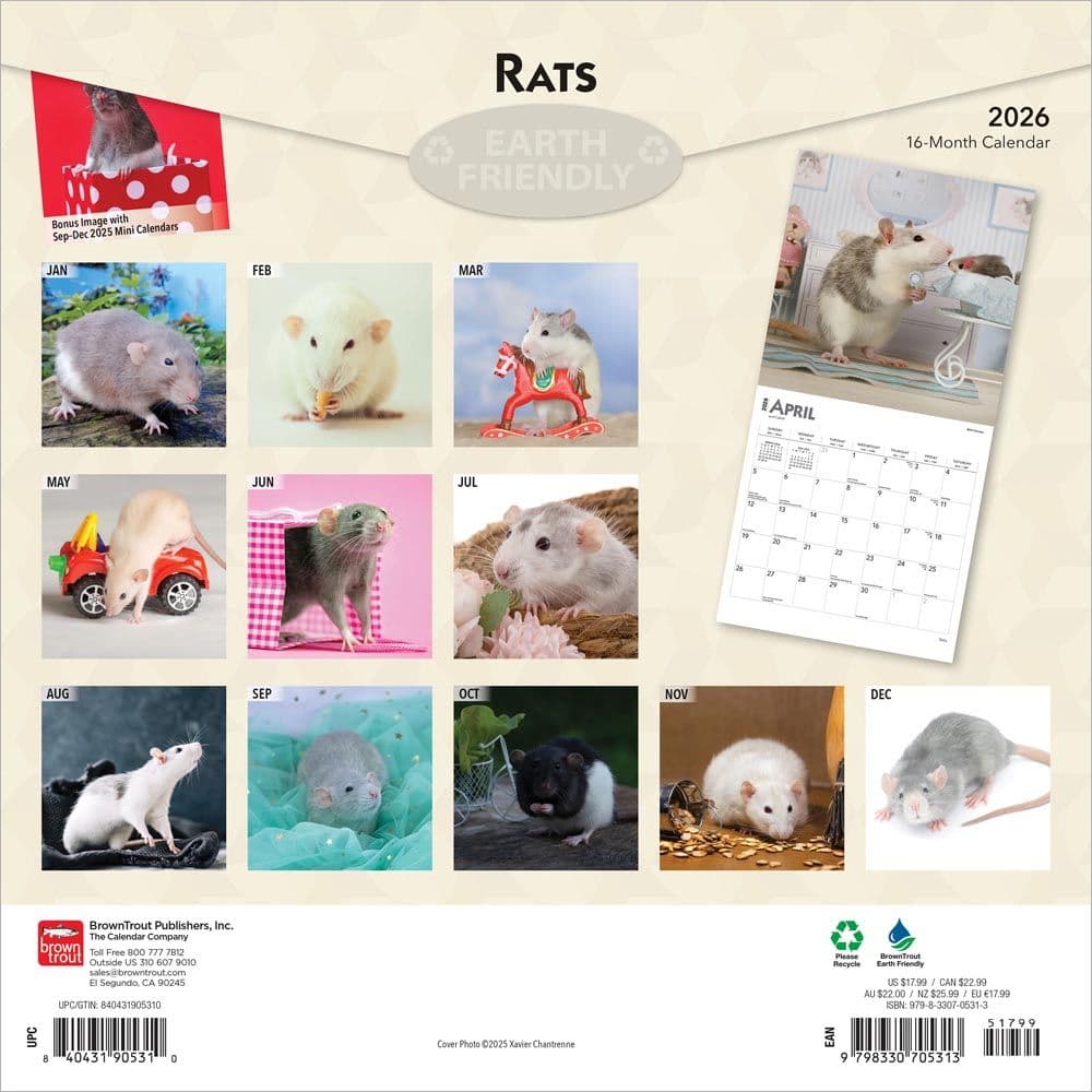 Rats 2026 Wall Calendar First Alternate Image