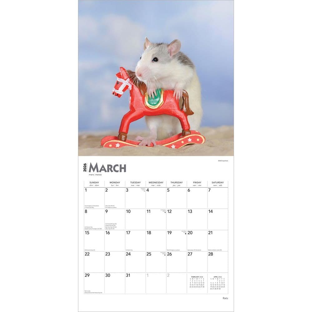 Rats 2026 Wall Calendar Second Alternate Image