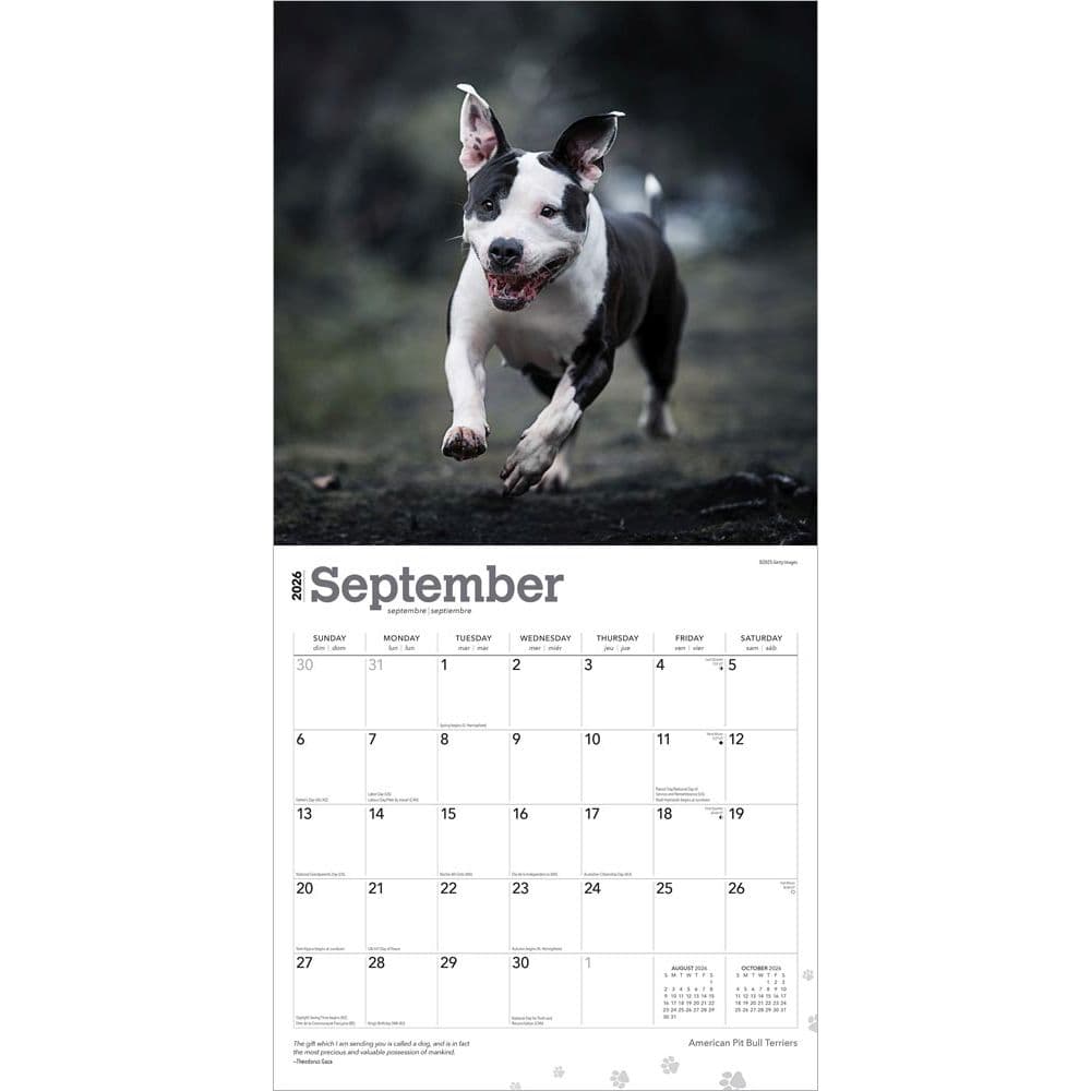 Third Alternate Image