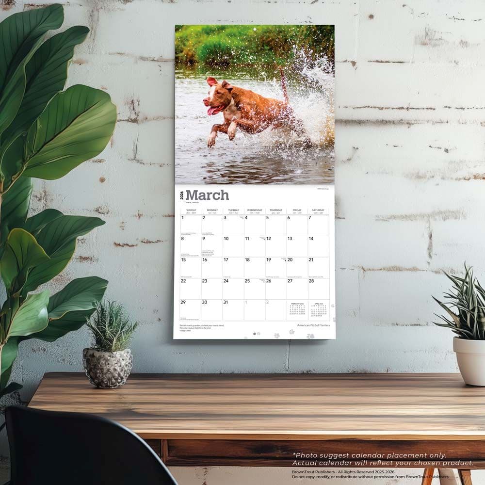 Fourth Alternate Image