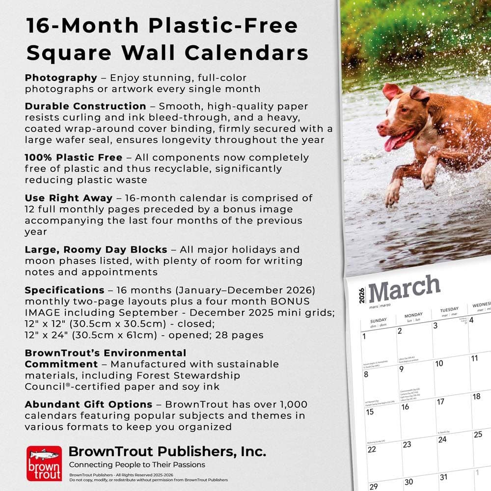 Fifth Alternate Image