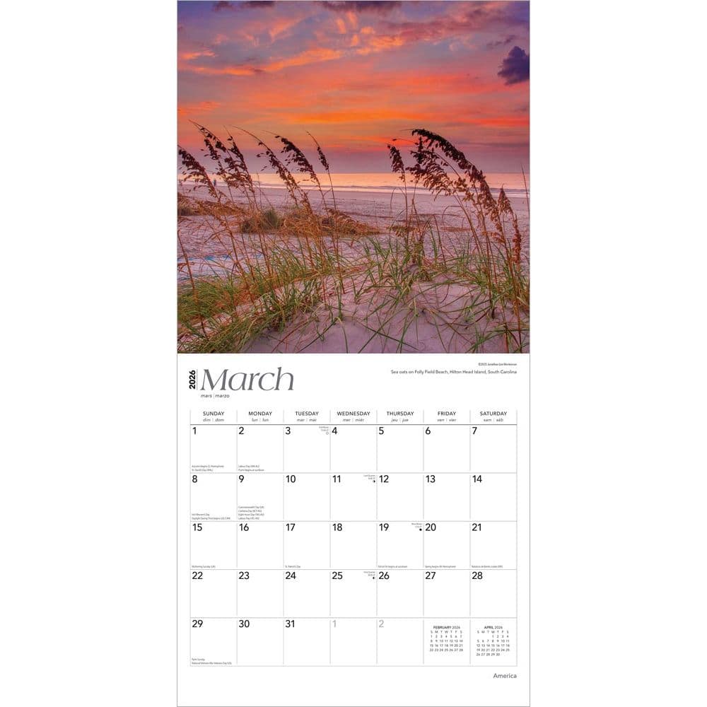 Second Alternate Image