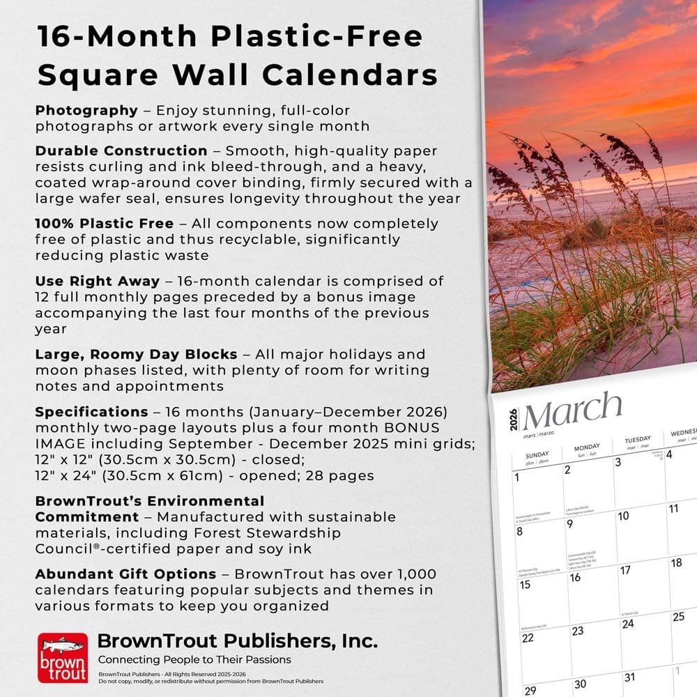 Fifth Alternate Image