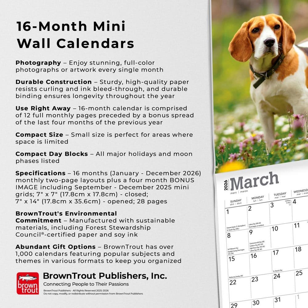 Fifth Alternate Image