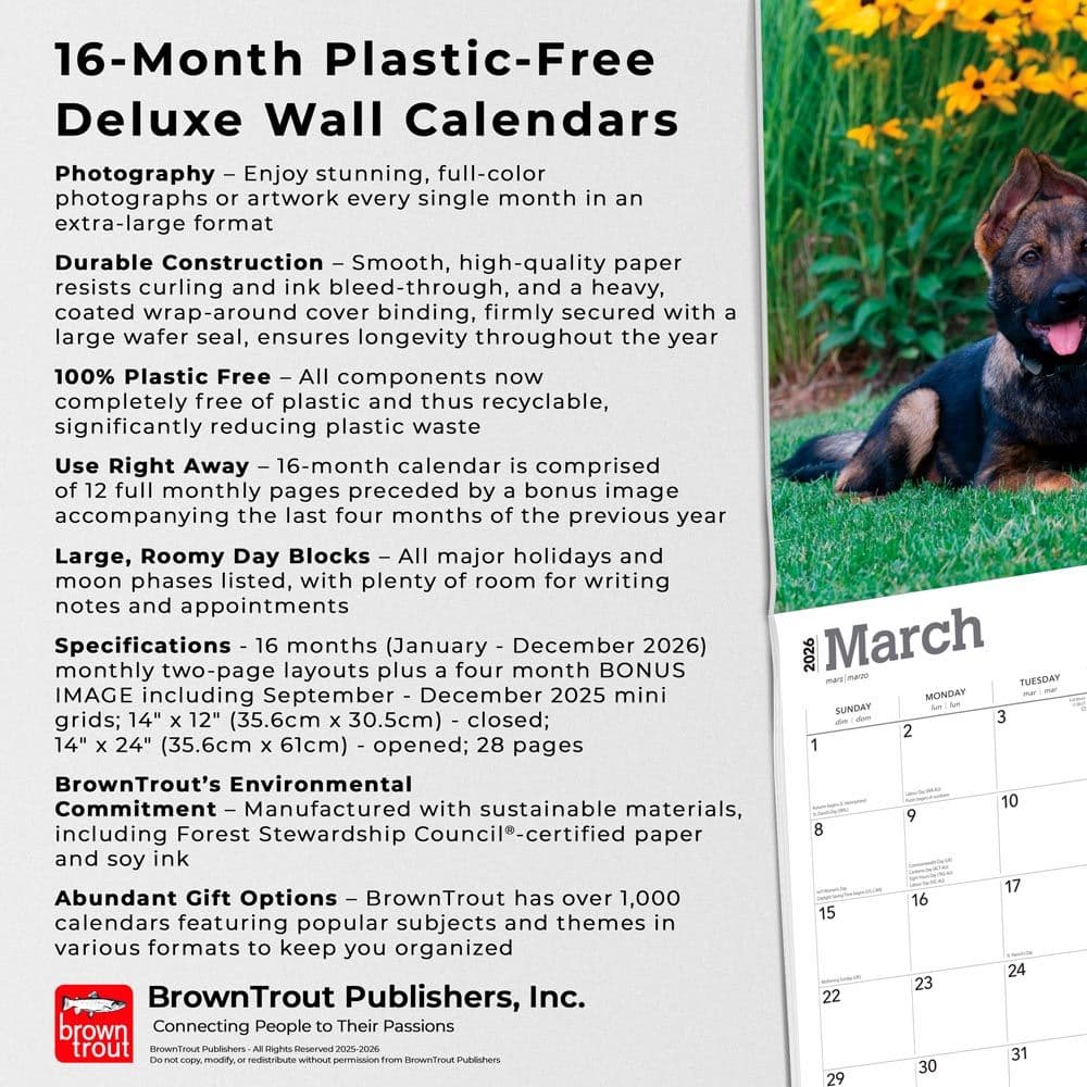 Fifth Alternate Image