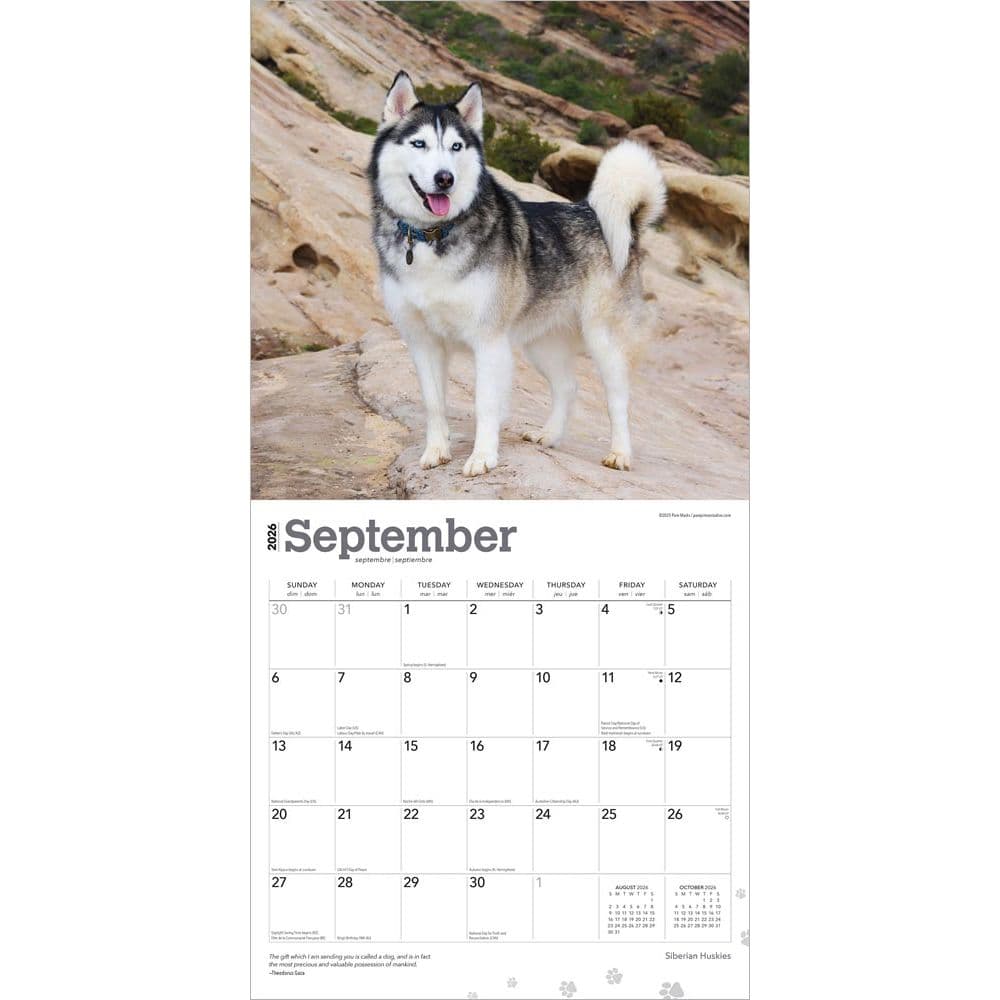 Third Alternate Image