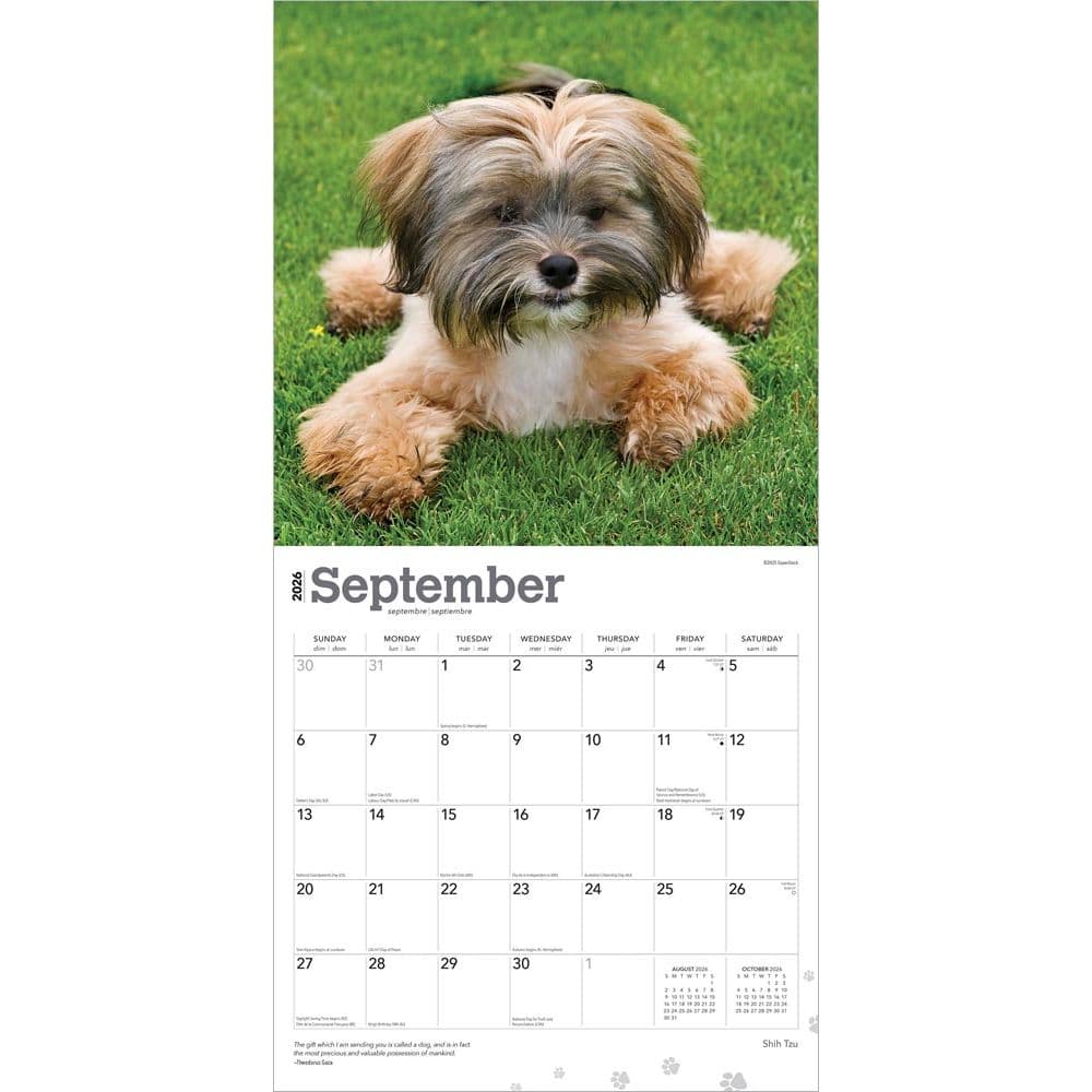 Third Alternate Image