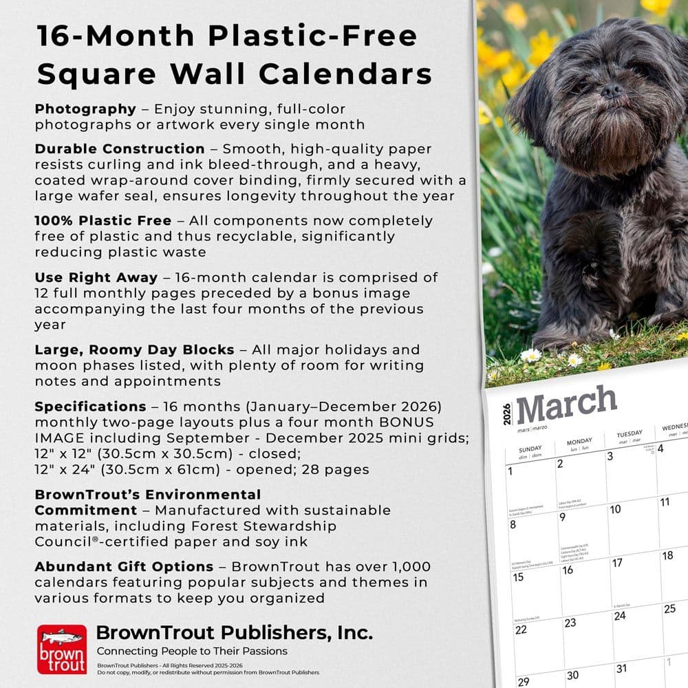 Fifth Alternate Image