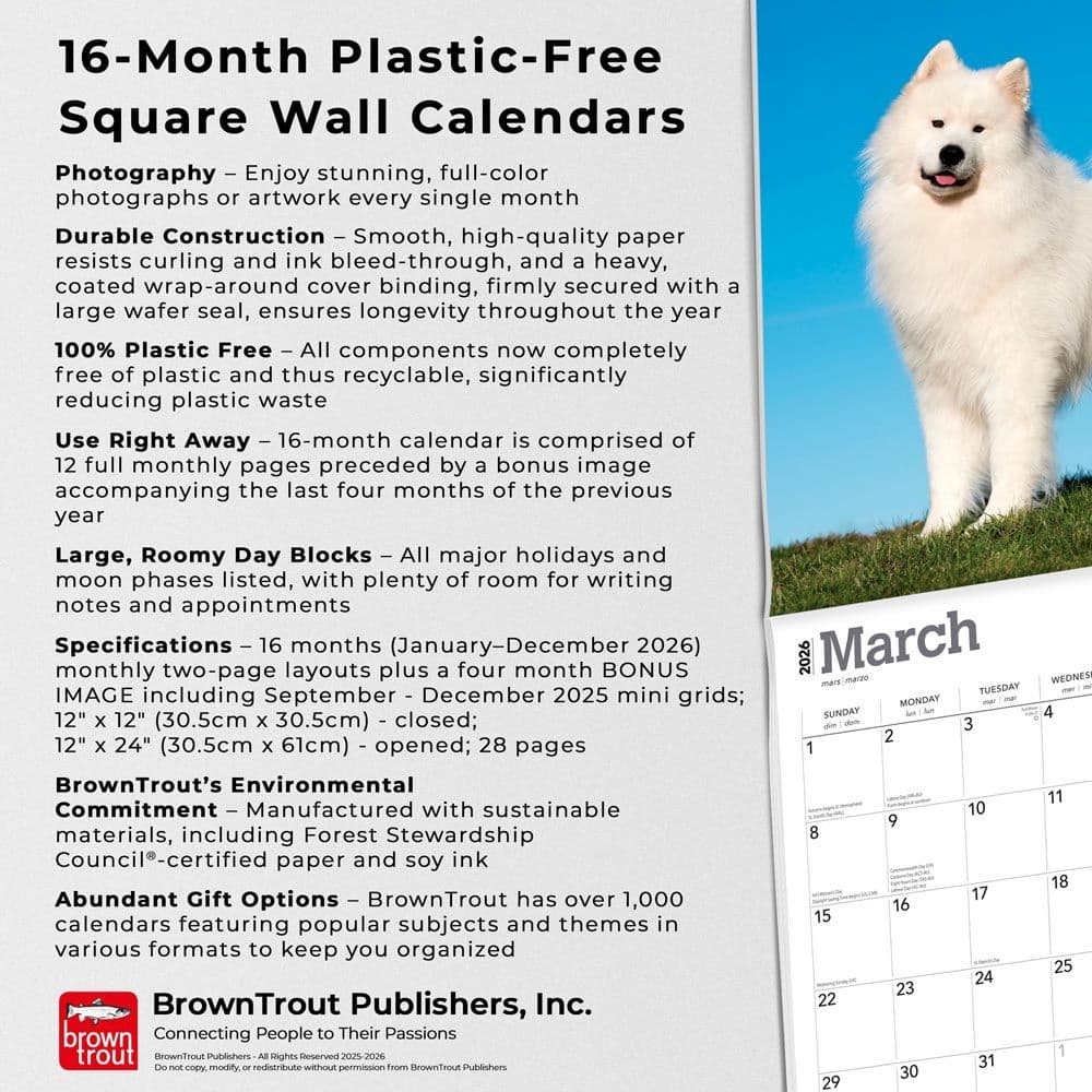 Fifth Alternate Image