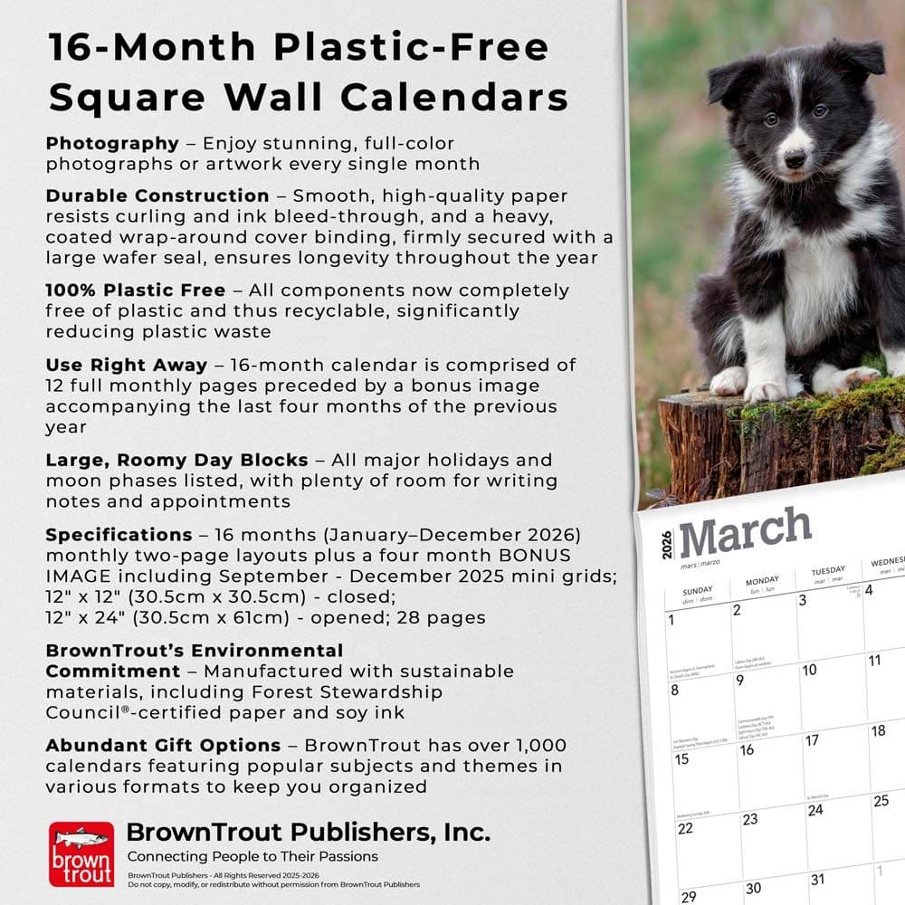 Fifth Alternate Image