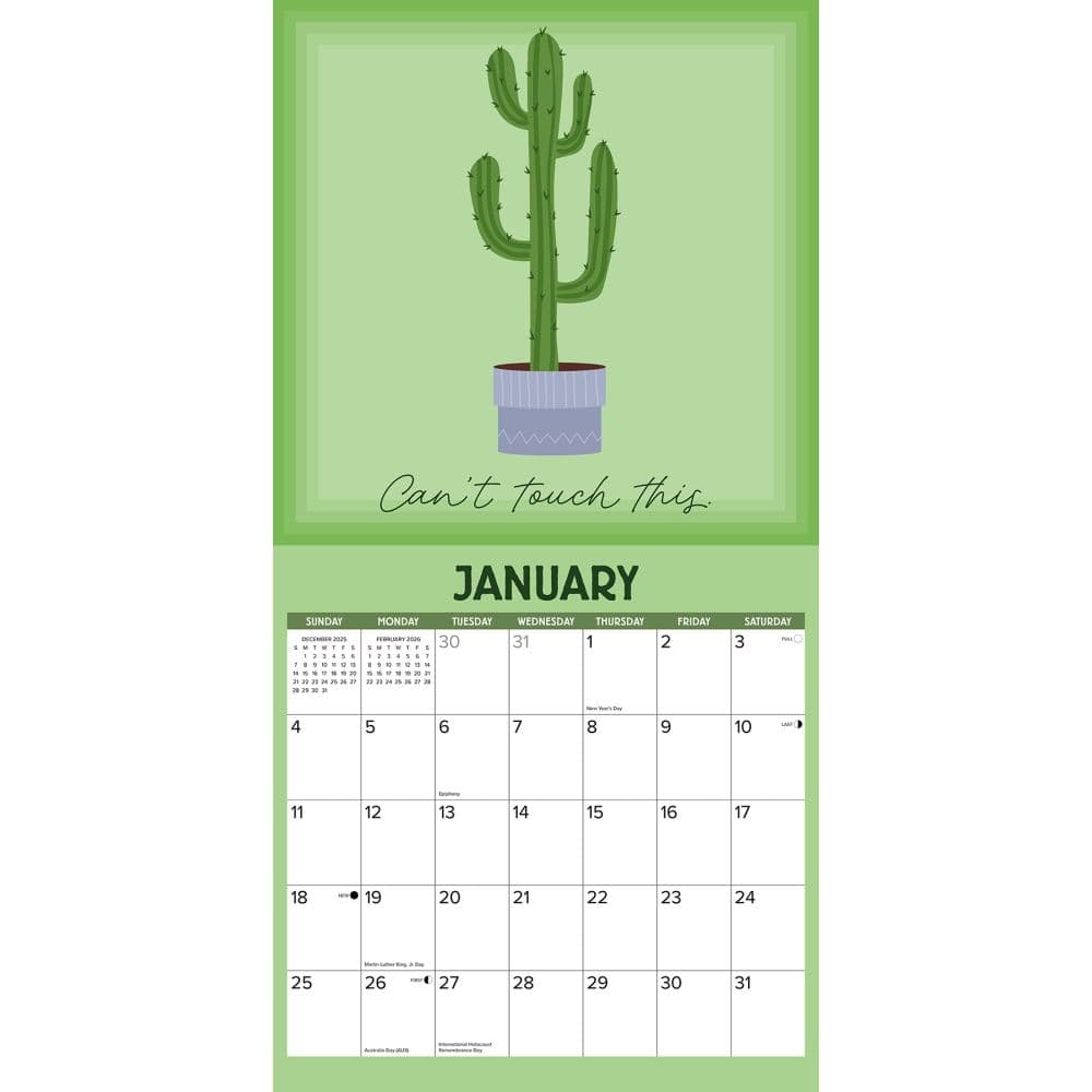 Second Alternate Image