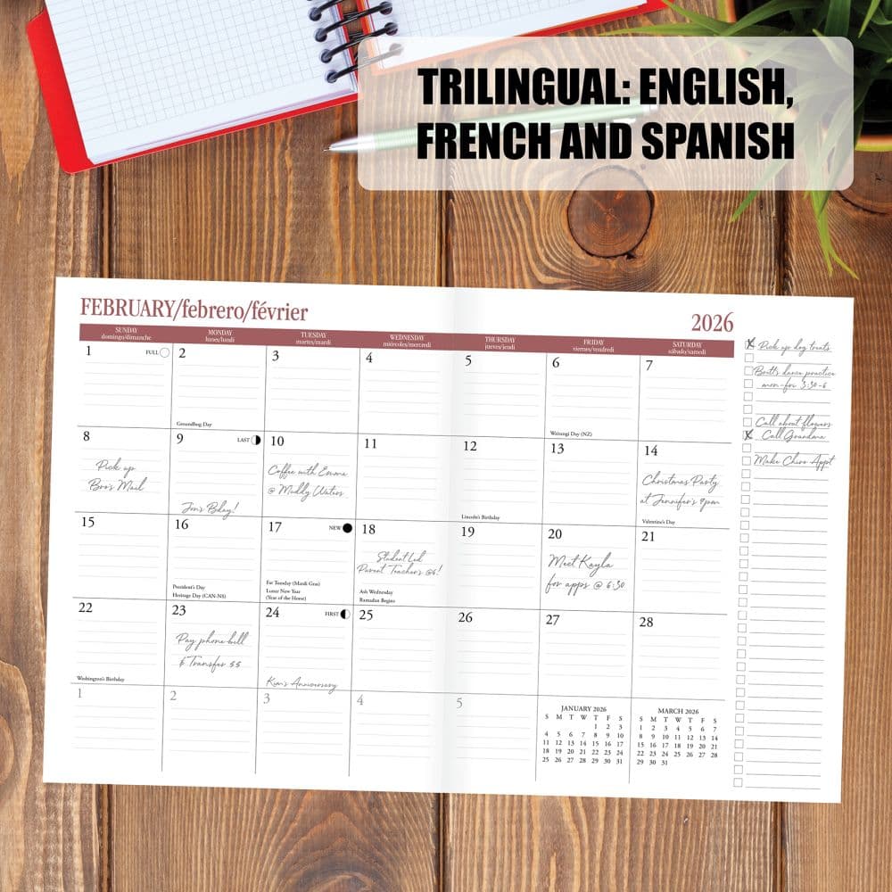 Third Alternate Image