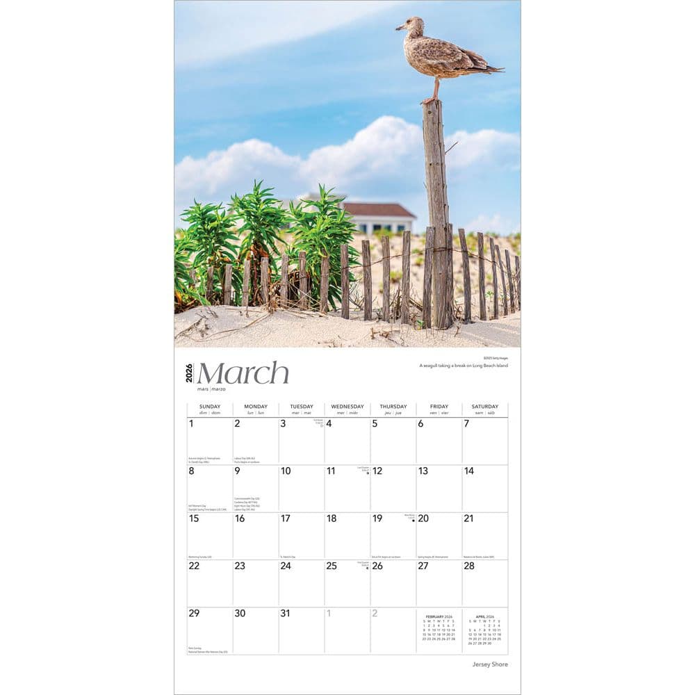 Second Alternate Image