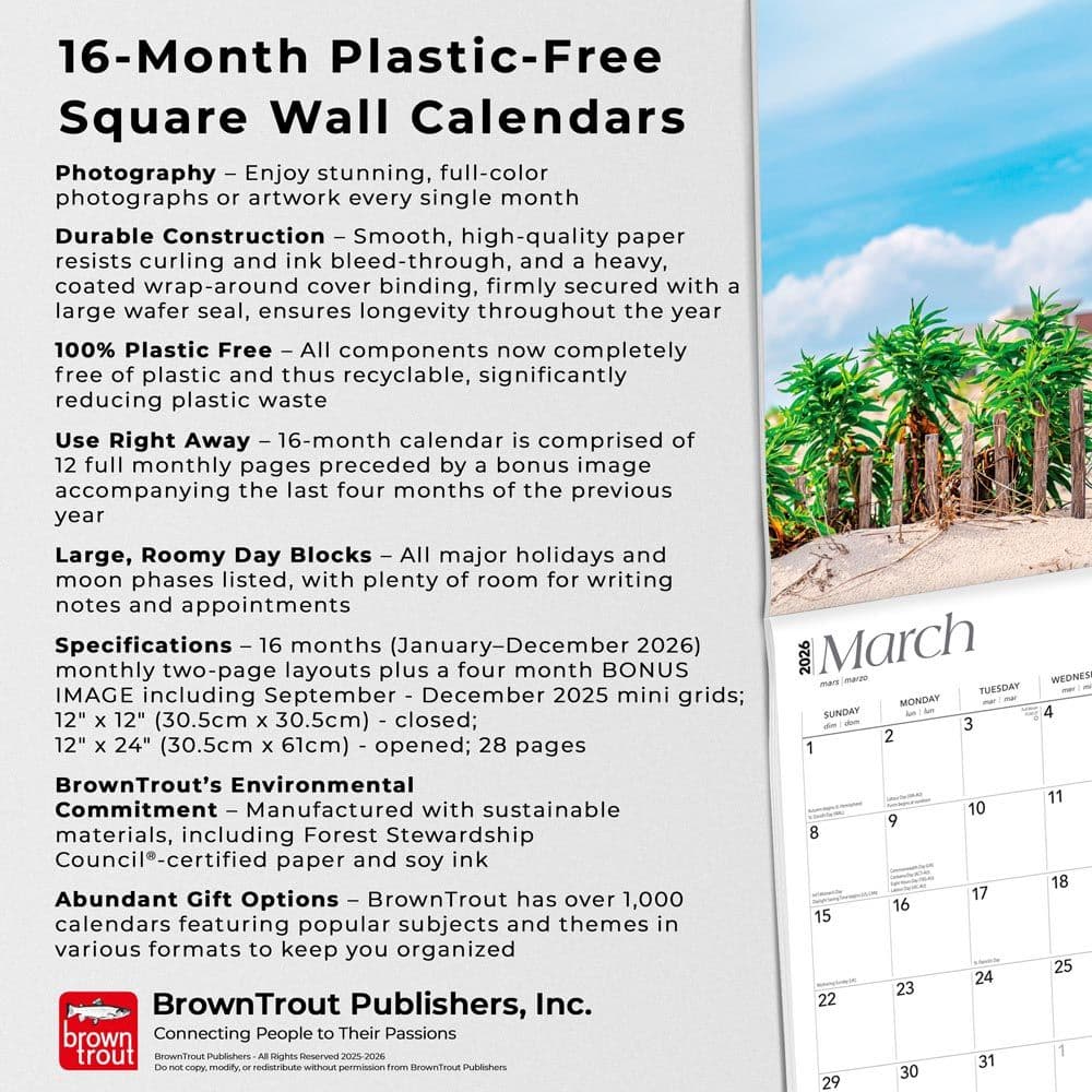 Fifth Alternate Image