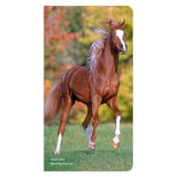 image  Main Product Image