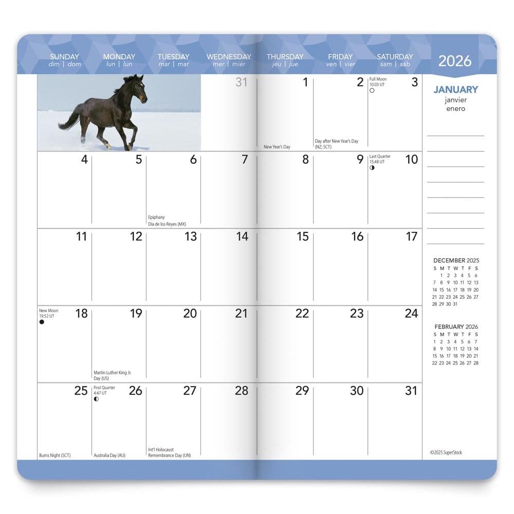 Second Alternate Image